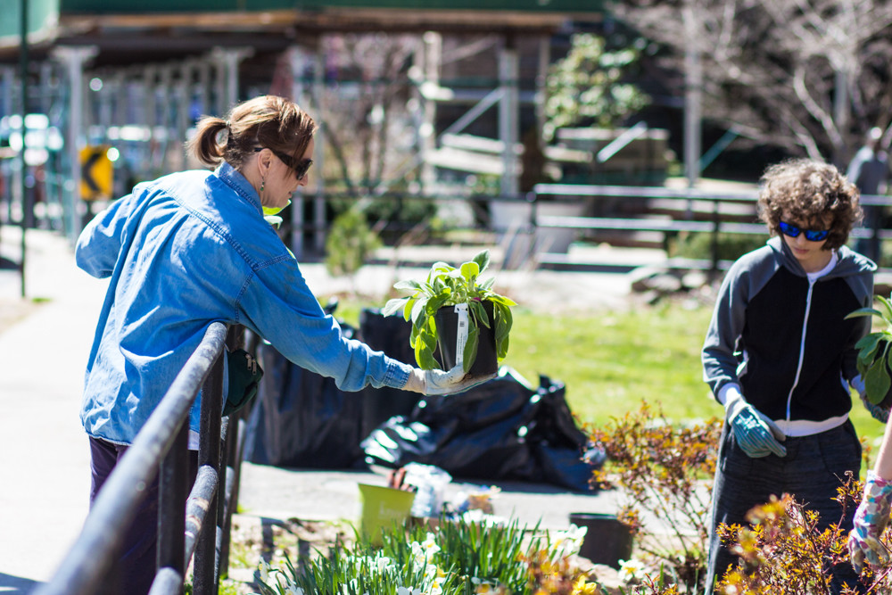 Jacqueline Hosford, a member of Stewards of Lower Brust Park, hands a potted plant over to volunteer Shane Savasta. Last weekend, Hosford and others worked to clean up and enhance the park.