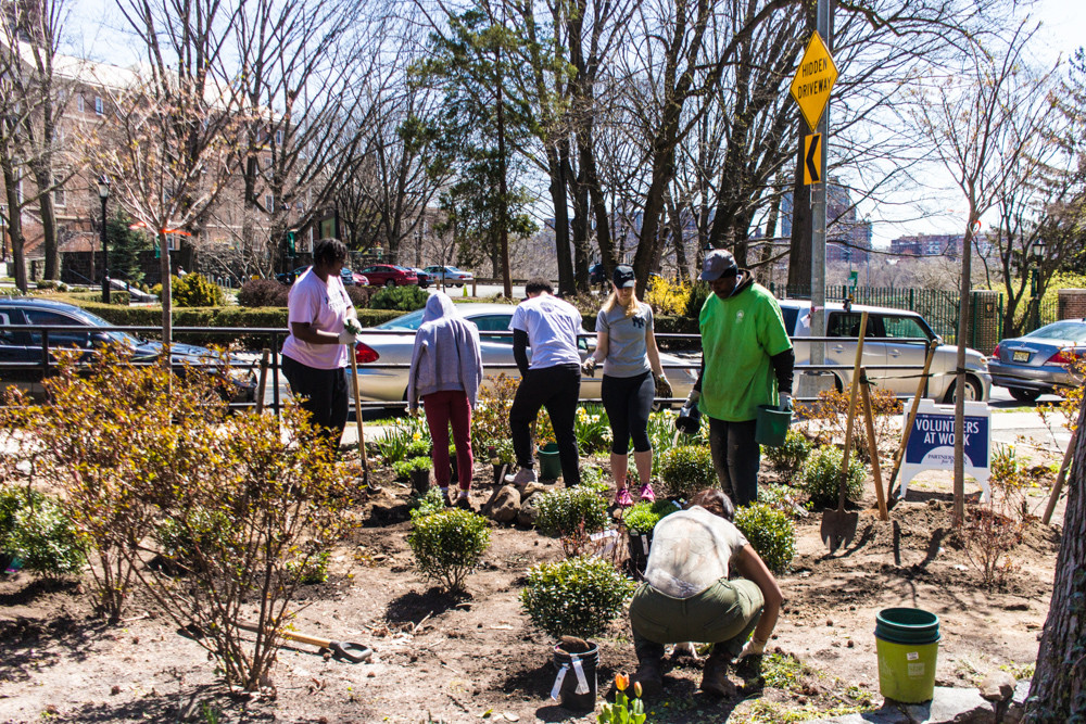 Volunteers work in the garden of Brust Park, located across the street from the main entrance of Manhattan College.