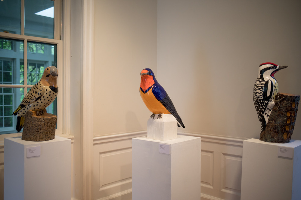 Several sculptures by bird watcher Peter Morgan are on view, above. He has been sculpting birds since 2012.