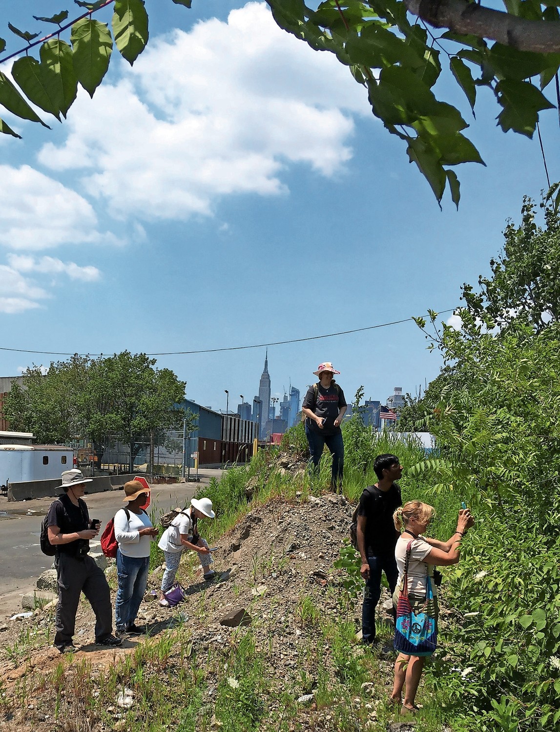 ‘Citizen-scientists’ make observations on Railroad Avenue along Newtown Creek in Queens last July. While people are quick to spot animals and such in their environment, the same can’t be said about plants — and that’s something that really needs to change.