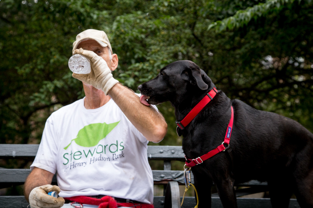 Mark Mason, a co-founder of the Stewards of Henry Hudson Park, stops for a drink of water while his dog, Missy, who is the official mascot of the Stewards of Henry Hudson Park, licks his arm. Mason and other volunteers were working on revitalizing a plant bed in Henry Hudson Park.