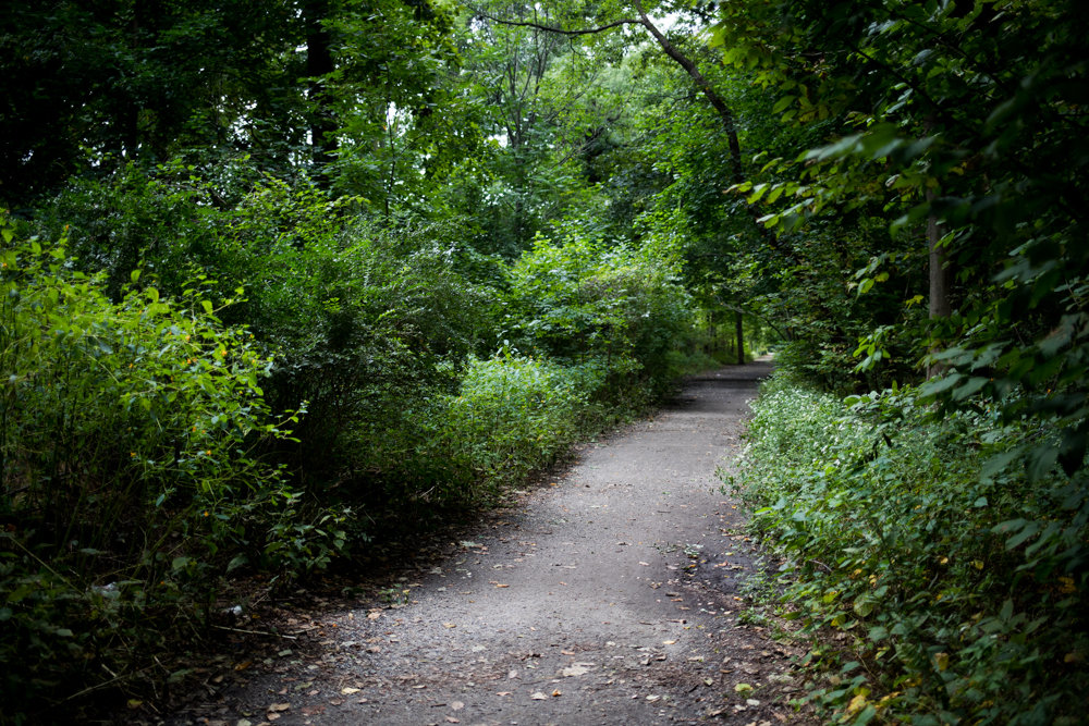 A long strip of the Old Putnam Trail in Van Cortlandt Park could be covered in asphalt in the not-too-distant future if city parks officials have their way. But some residents who frequent the trail fear paving it could threaten its ambiance as a respite from the churn of urban life beyond Vannie’s boundaries.