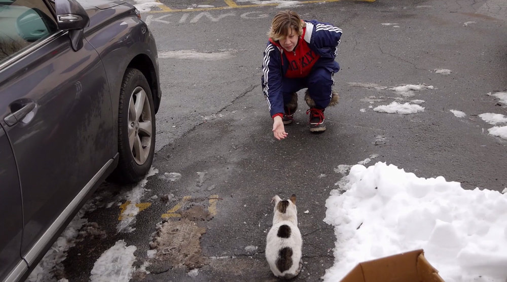Tara Green gestures to Cloudy in a snowy parking lot in a scene from ‘The Cat Rescuers,’ a documentary profiling four volunteers in Brooklyn who engage in trap-neuter-return, a process that helps manage stray cat populations.