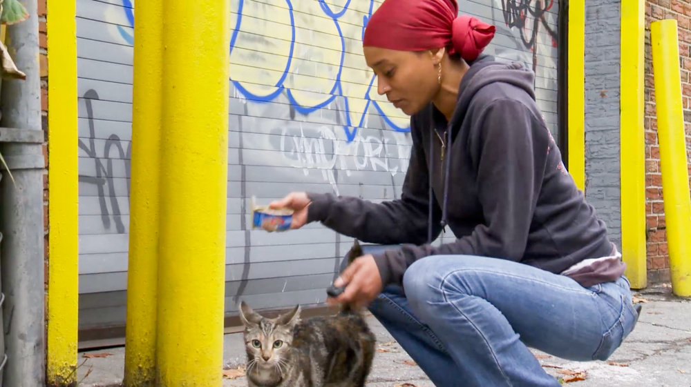 Latonya ‘Sassee’ Walker feeds an injured feral cat in a scene from the documentary ‘The Cat Rescuers.’