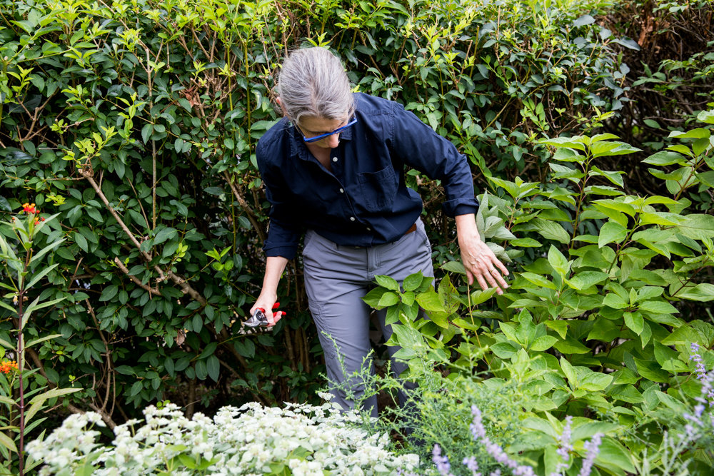 Rebecca Allan looks for plants to prune in the garden she designed outside of her building at 2500 Johnson Ave.