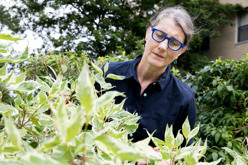 Rebecca Allan observes the insects in the garden she designed outside her building at 2500 Johnson Ave.