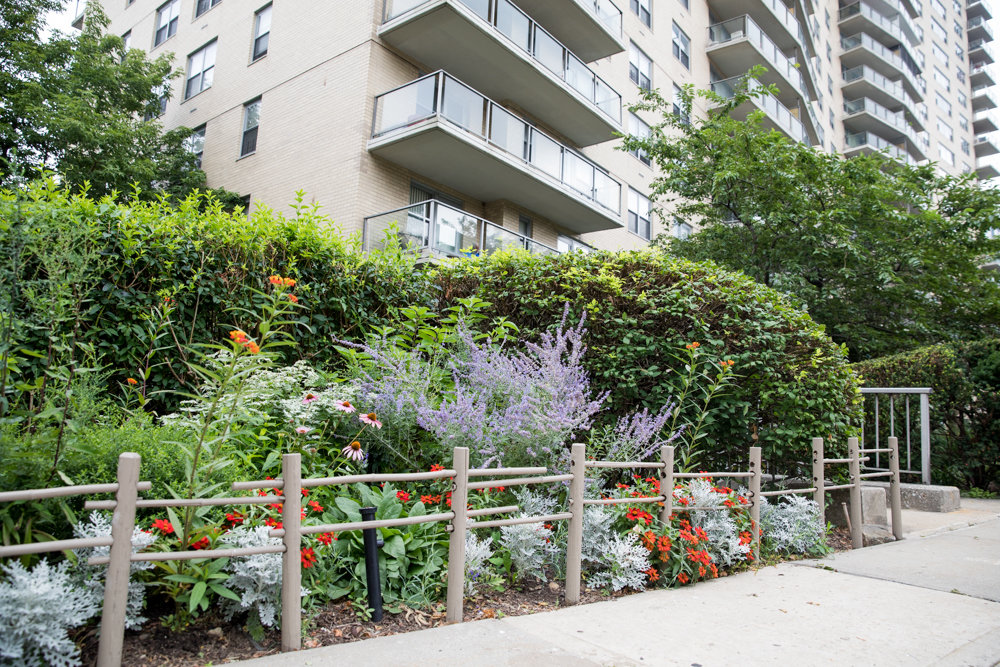 It took Rebecca Allan five years to design and grow the garden outside her building at 2500 Johnson Ave.