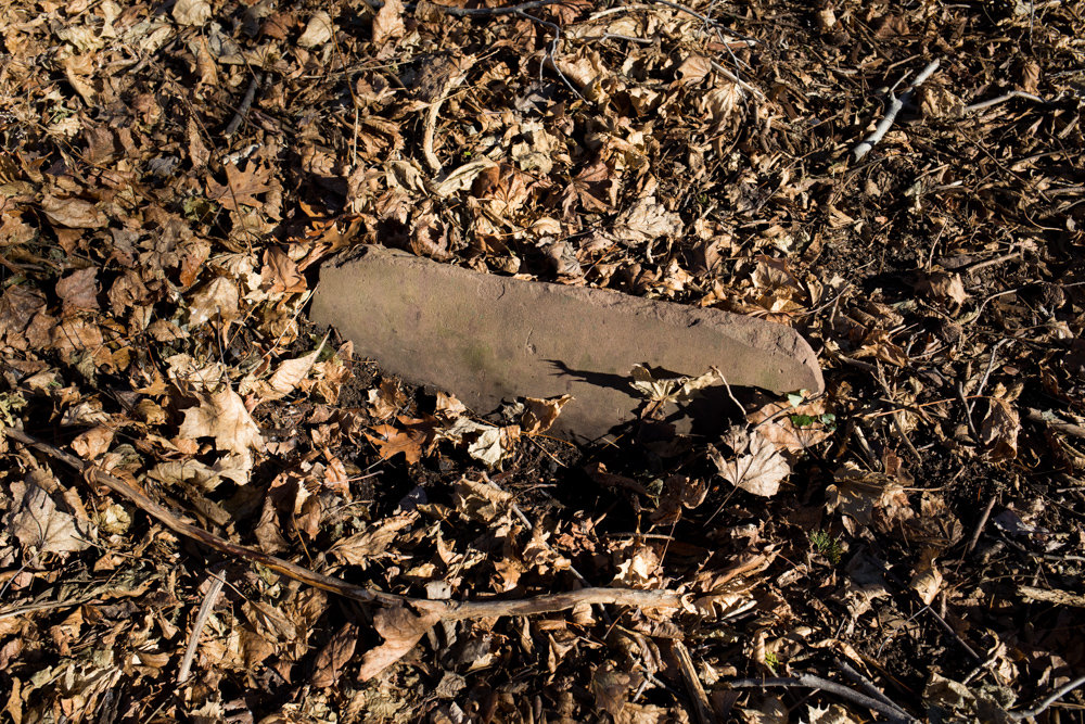 A headstone from a Colonial-era gravesite pokes out from fallen leaves earlier this year uphill from where skeletons were once found along the current Putnam Trail. The skeletons were believed to have belonged to African American slaves. Scientists using ground-penetrating radar found what historians believe to be incontrovertible evidence that the remains of enslaved people are still buried in Van Cortlandt Park.