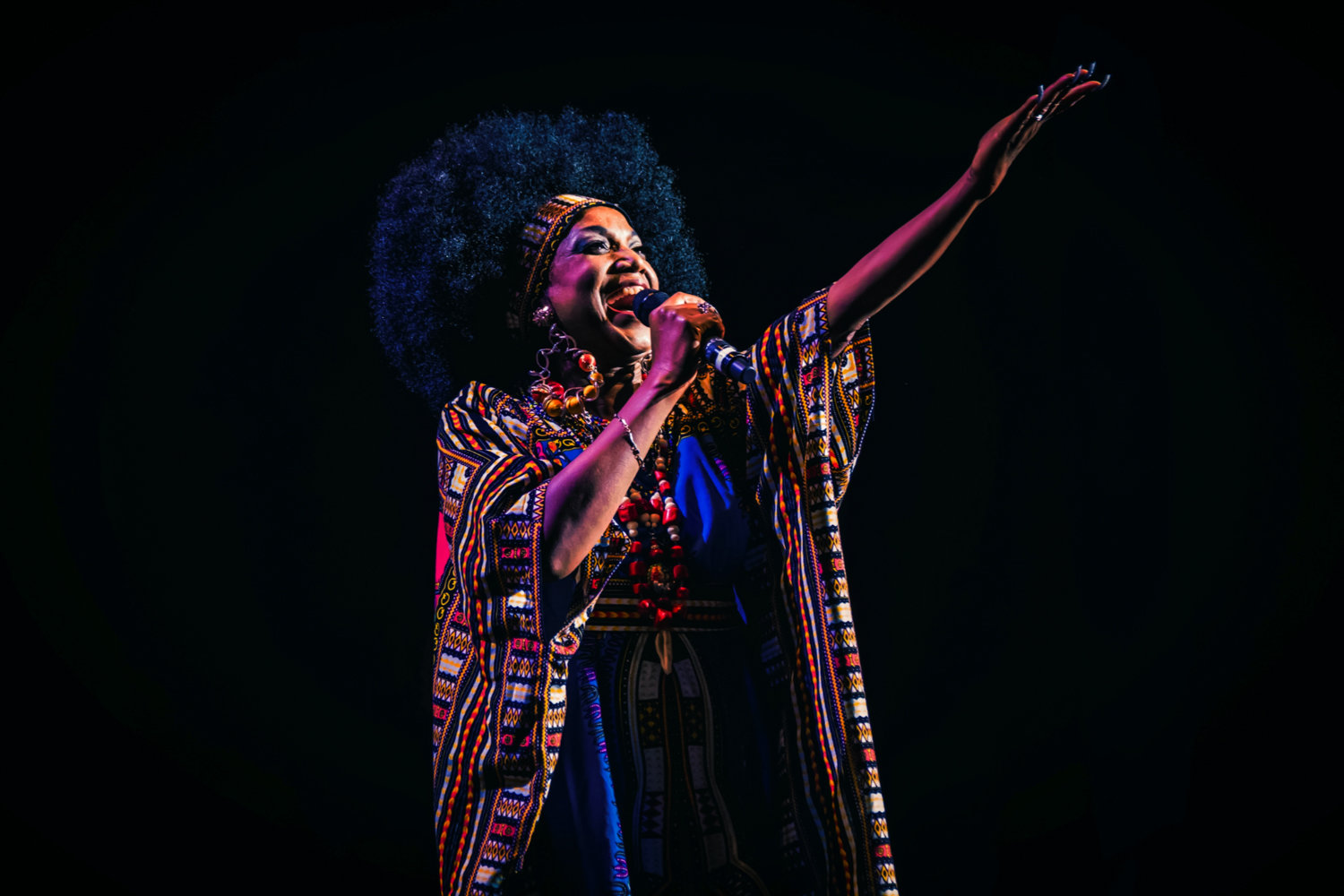 'Celia Cruz: The Musical' tells the story of the life and music of the late Cuban singer, and will stop by the Lehman Center for the Performing Arts on Nov. 16.