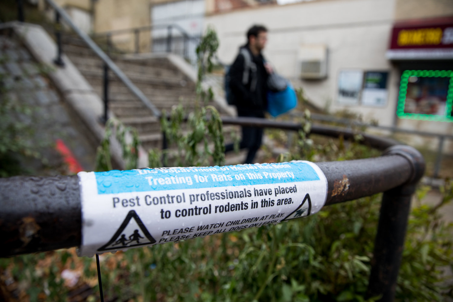 A sign affixed to a handrail along a step street between Cannon Place and Orloff Avenue indicates the area has been treated with baits in order to combat the rat population.