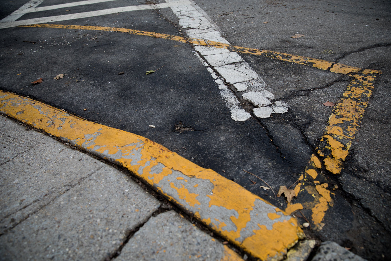 Yellow markings at a crosswalk along Arlington Avenue indicate where cars should not park.