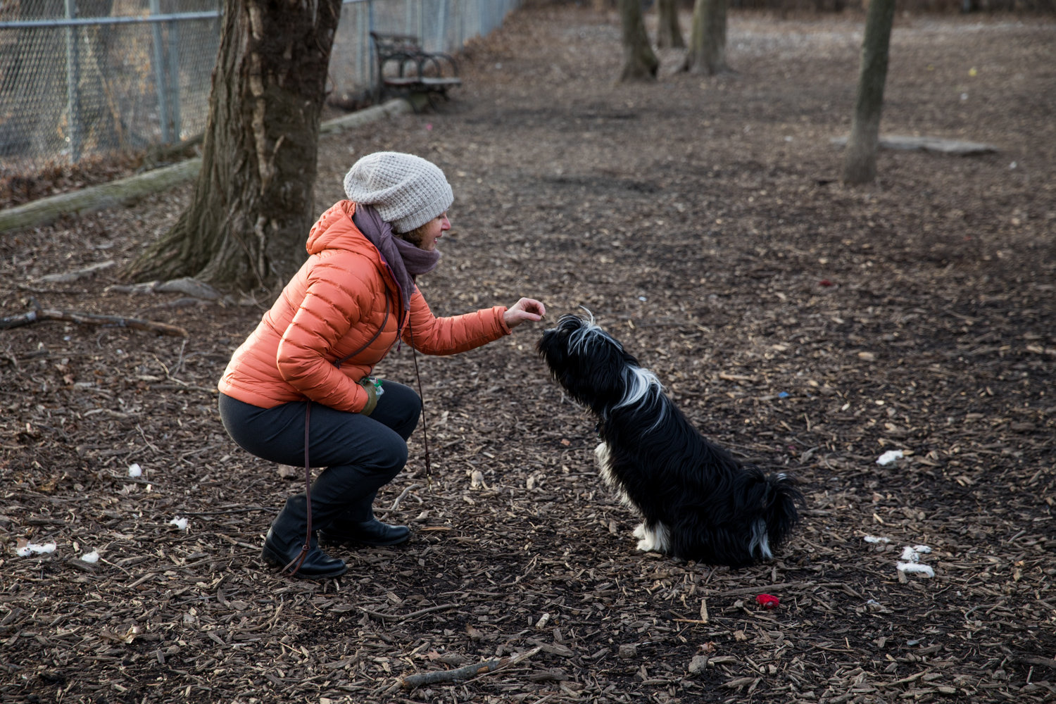 Babi Kruchin feeds a treat to her pet Tashi in the dog run at Seton Park. A Riverdale resident, Kruchin is glad that parts of the park were recently renovated, but wishes the same attention could have been paid to the dog run.