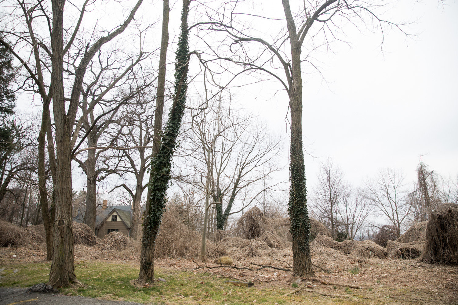 An overgrown patch of land sits along Delafield Way just off West 246th Street and Douglas Avenue — part of a little more than 10 acres of land that has been in development hell for the better part of 40 years.
