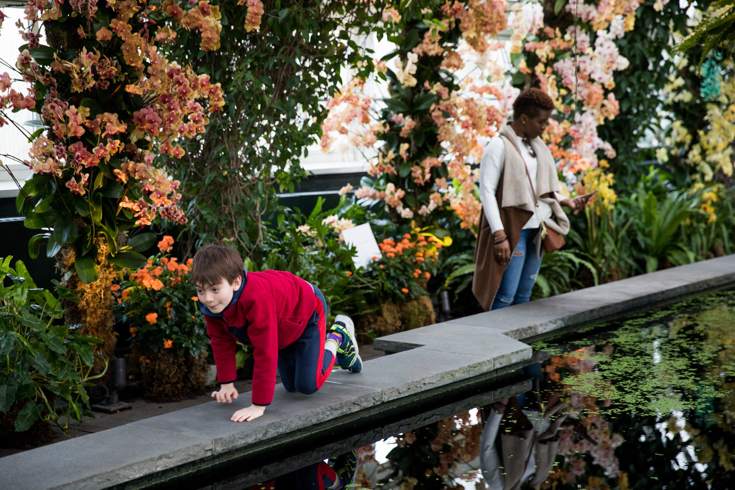 Visitors explore ‘The Orchid Show’ in the Enid A. Haupt Conservatory at the New York Botanical Garden.