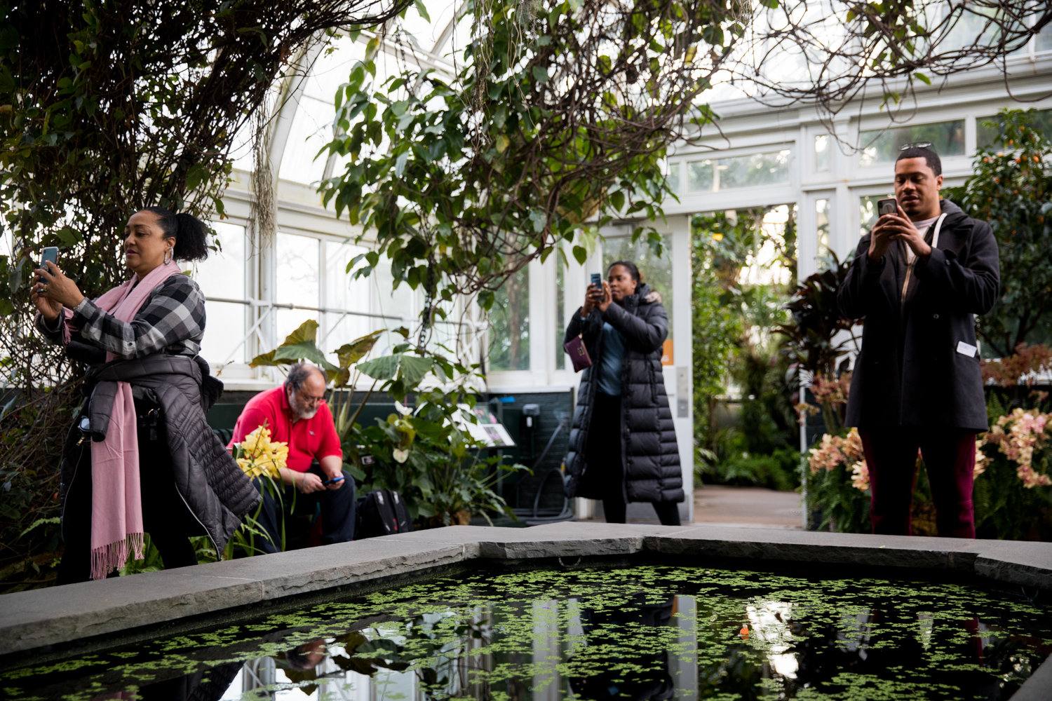 Visitors at the New York Botanical Garden take photos of orchid displays in the Enid A. Haupt Conservatory.