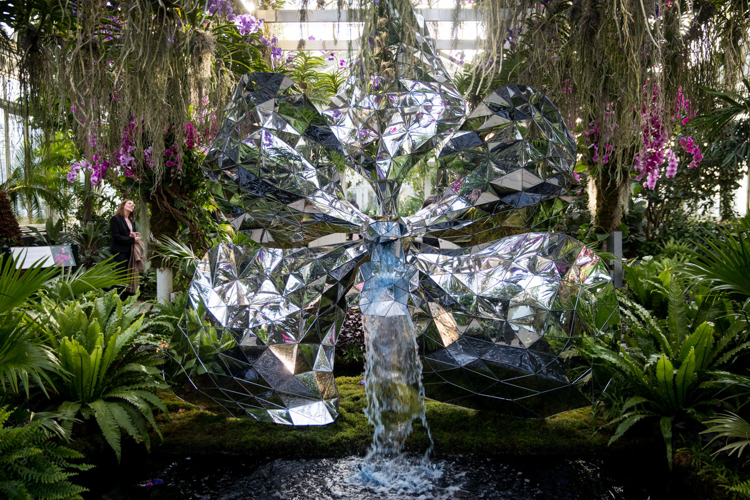 A mirrored sculpture reflects the surrounding orchid displays  at the New York Botanical Garden, on display through April 19.