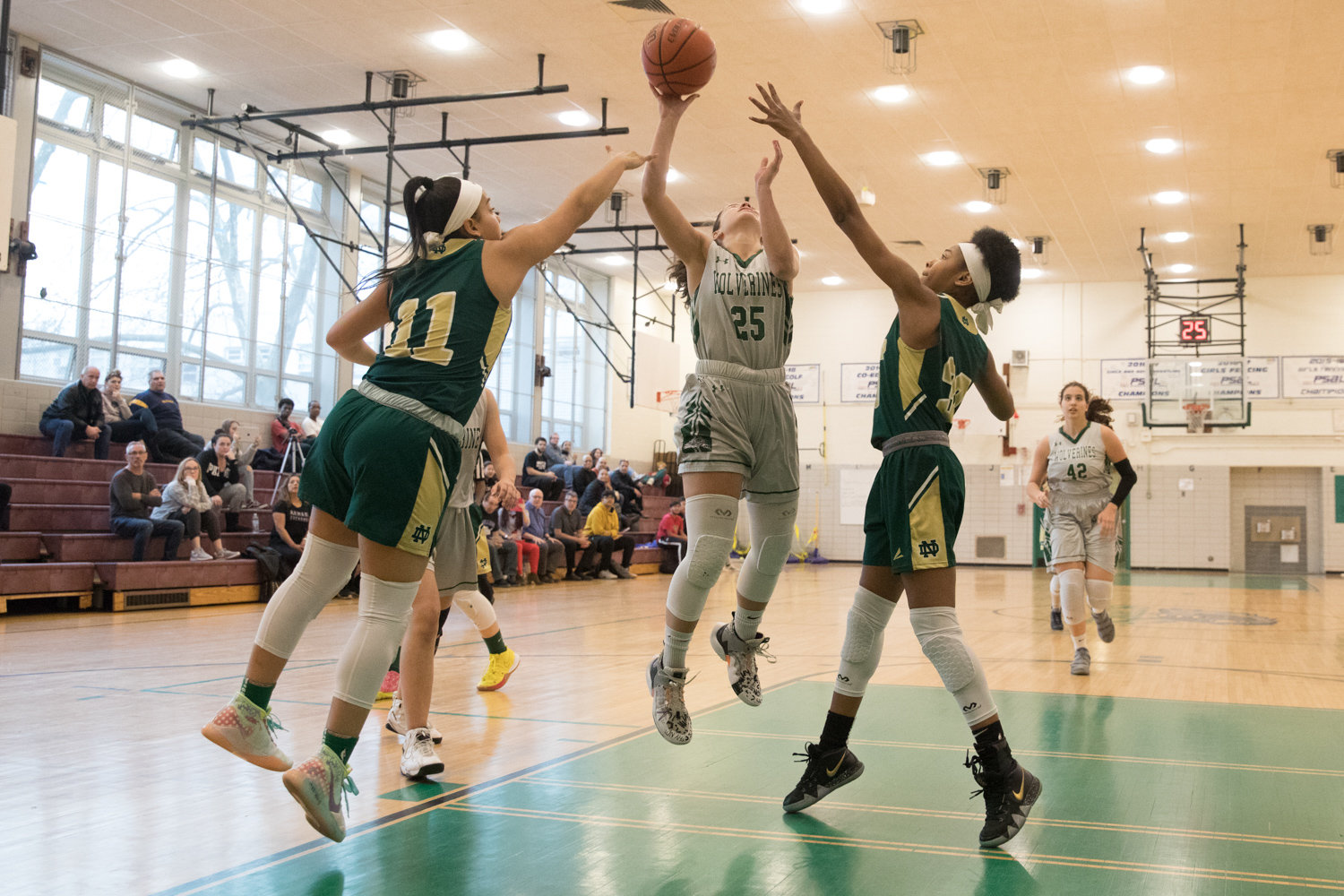 Bronx Science junior guard Carolina Lopez was mired in foul trouble against New Dorp last week, and was held to 12 points in the Wolverines’ playoff loss to the Cougars.