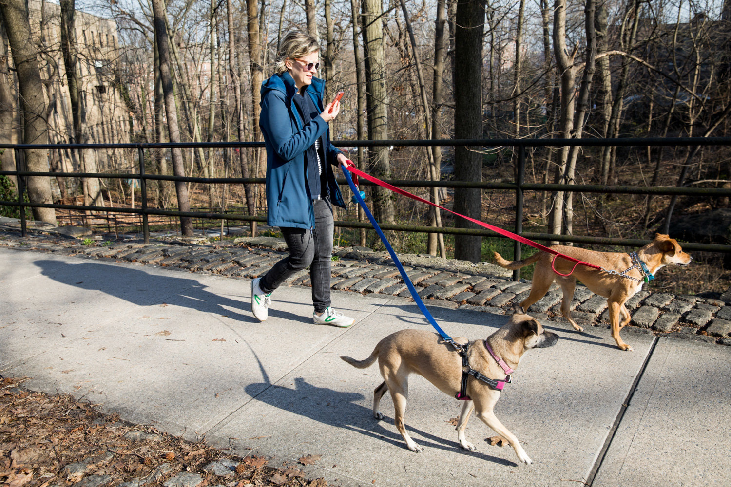 Kingsbridge Heights Community Center executive director Margaret Della walks her dogs along Manhattan College Parkway, which she livestreamed to several of her colleagues as a way to boost morale after the organization moved to working from home in light of the coronavirus pandemic.