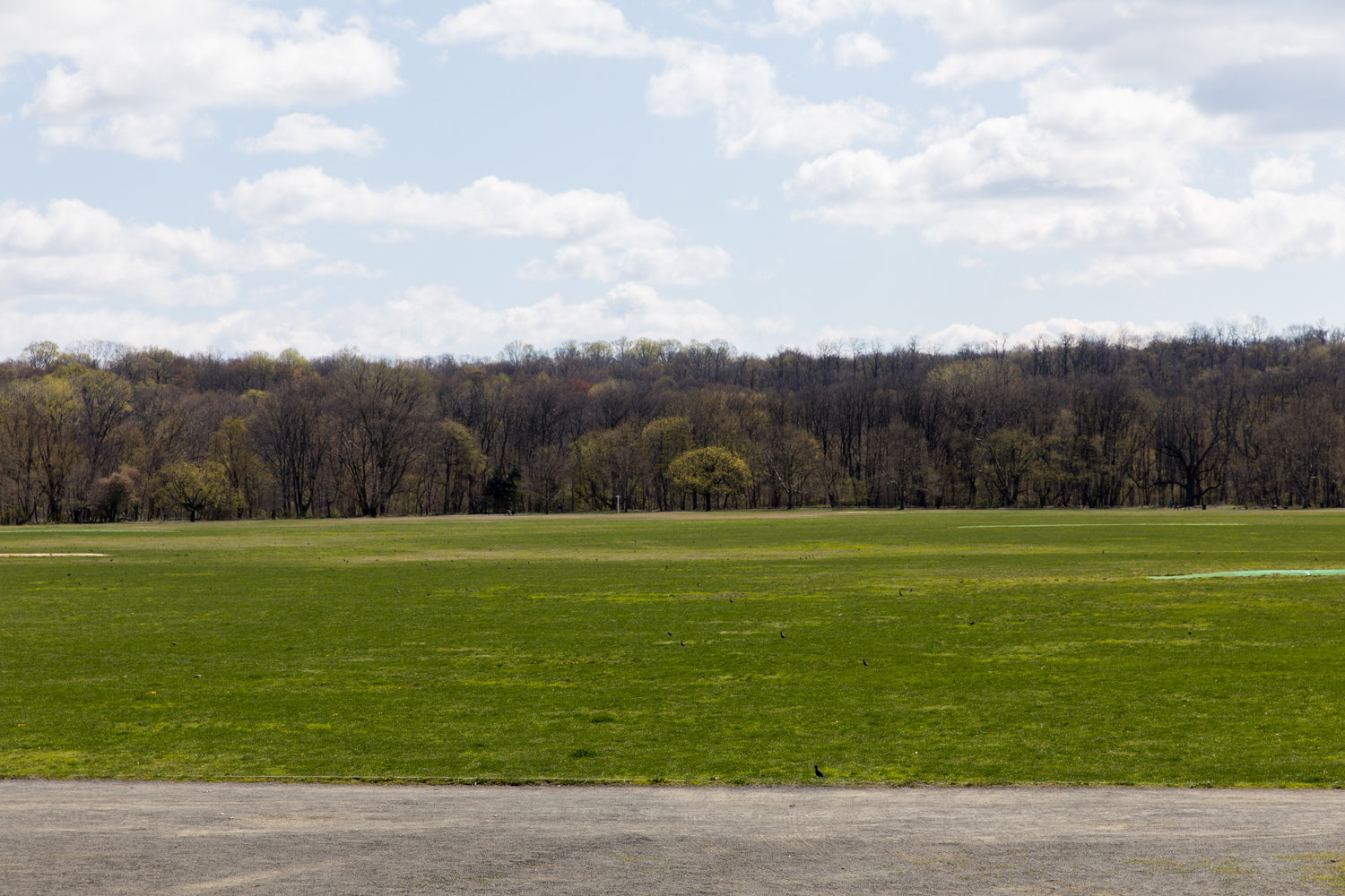 The contract for a COVID-19 field hospital in Van Cortlandt Park has been scrapped for now, pulling down the fencing in part of the park where the emergency facility would have been constructed.