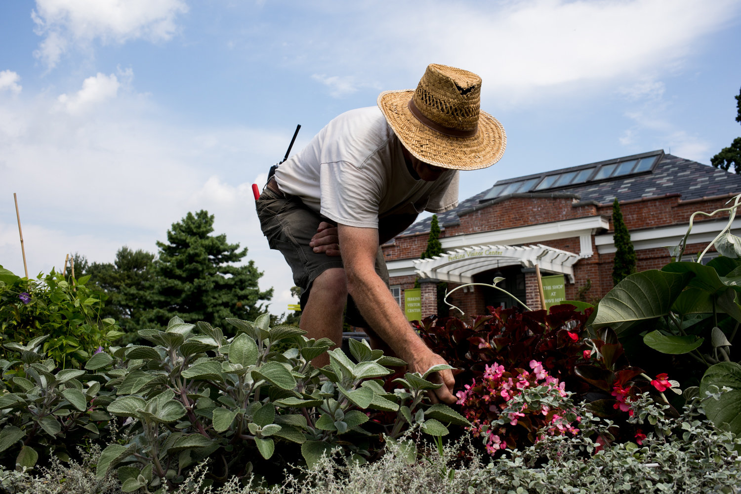 Louis Bauer, Wave Hill’s horticulture director, tends to the Paisley Bed in 2018. Since the garden closed its doors to visitors as a result of the coronavirus pandemic, a core crew of gardeners have worked to maintain the grounds.
