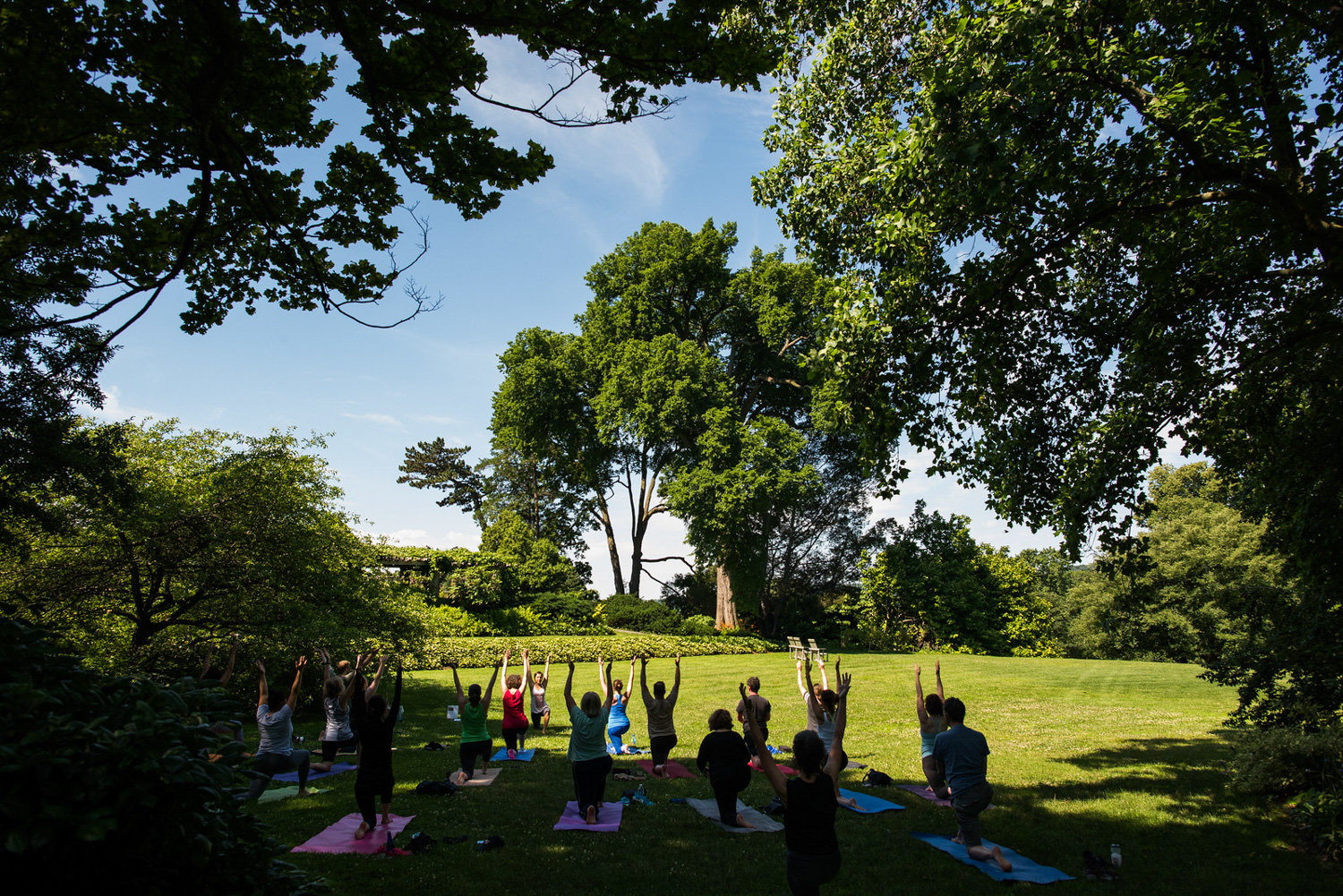 Before the coronavirus pandemic, Wave Hill offered yoga classes on its grounds. Now, the garden offers them online in a bid to keep people healthy while staying home.