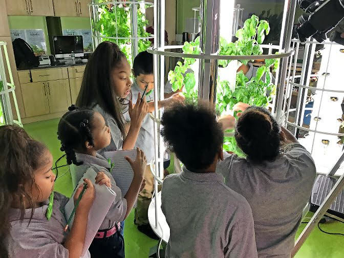 Green Bronx Machine specializes in indoor academic learning gardens where students grow produce using less space and water.