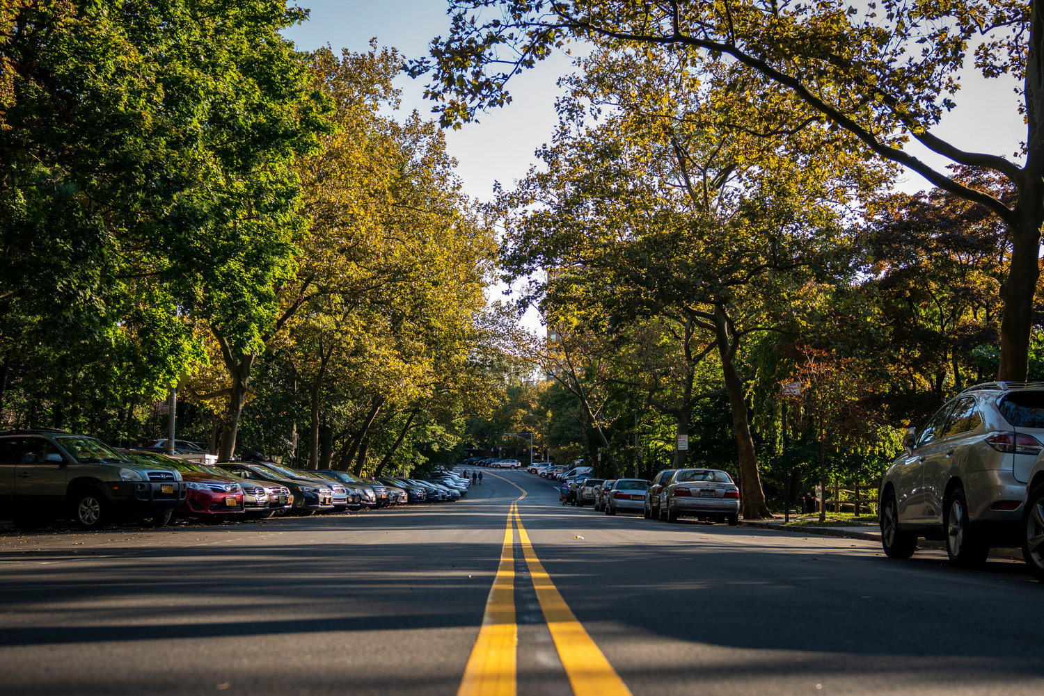 The long stretch of Independence Avenue goes from West 246th Street to West 232nd. Although speed bumps were recently reinstalled, Community Board 8 is considering recommending further changes to the area as drag racing in the neighborhood persists.