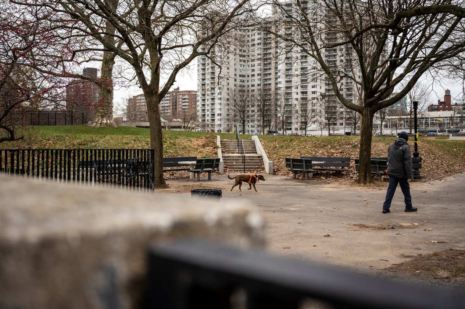 A man takes his dog for a walk through Seton Park on a chilly December morning. The park sits along Independence Avenue, which could become the site of several road design changes in the near future as part of an effort to discourage drag racing on the avenue.