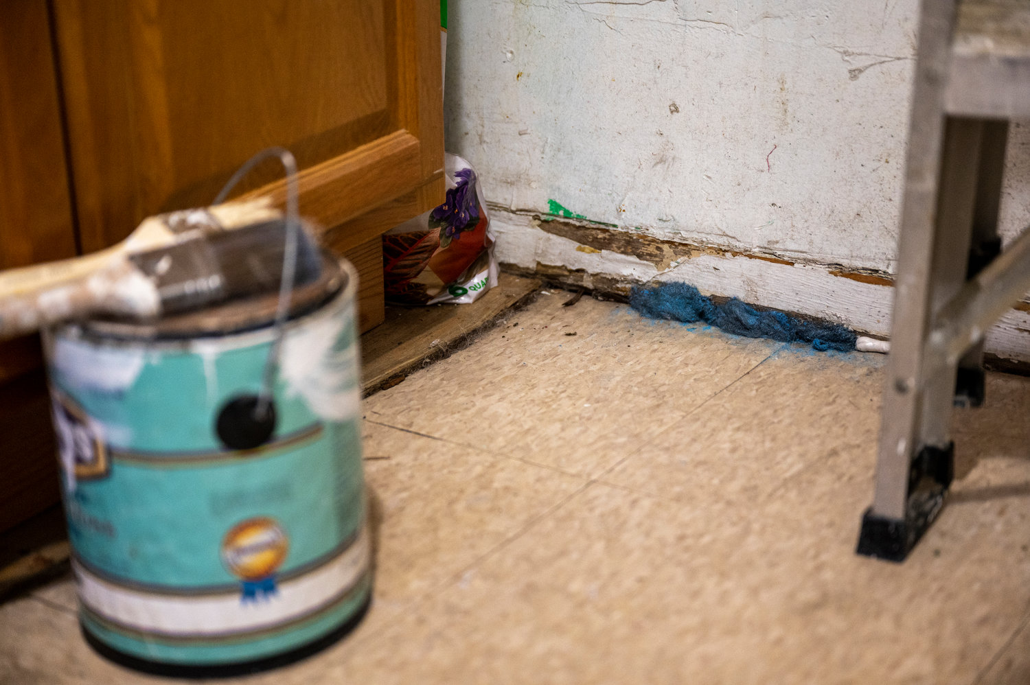 The superintendent at 3801 Review Place plugged the holes where rats crept into Kenya Fernandez’s apartment, but mice continue to be an issue.