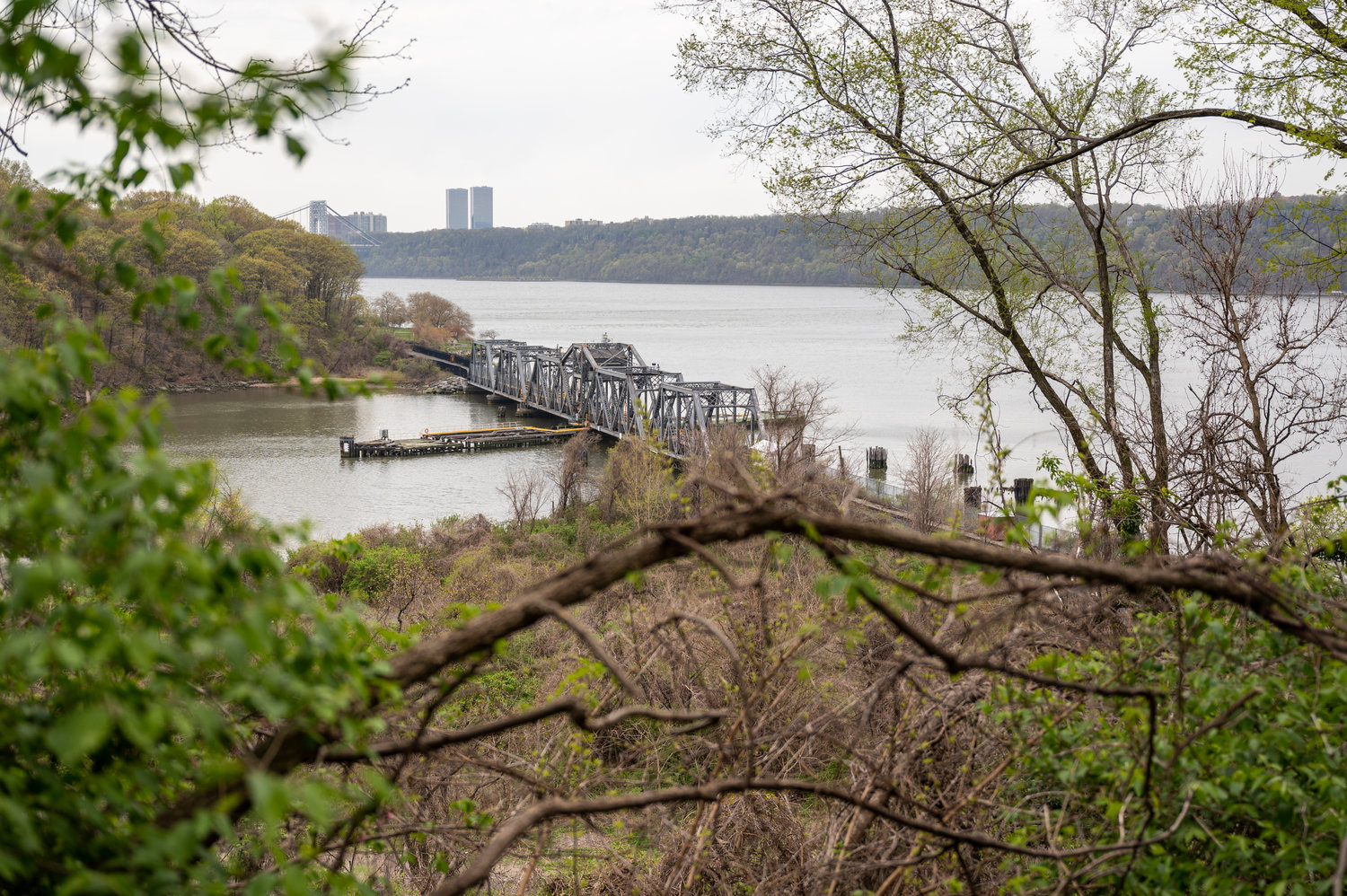 Victor San Andrés started clearing an area in the Half-Moon Overlook park last December. It’s a space with great views of the Hudson River and Spuyten Duyvil Bridge. That space is now what he calls the ‘Halve Maan Garden,’ which he hopes will be opened to his neighbors soon.