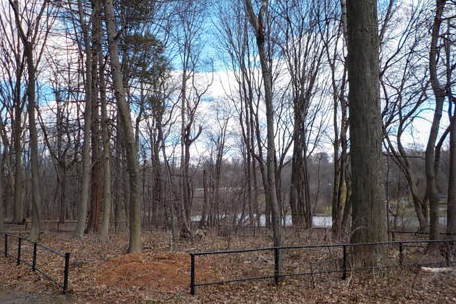 The Kingsbridge Burial Grounds are among at least a pair of cemeteries in Van Cortlandt Park — the other most prominent one, the enslaved African burial grounds closer to the lake. Community members and historians will gather at the enslaved African grounds June 19 to consecrate their final resting place in observance of Juneteenth.