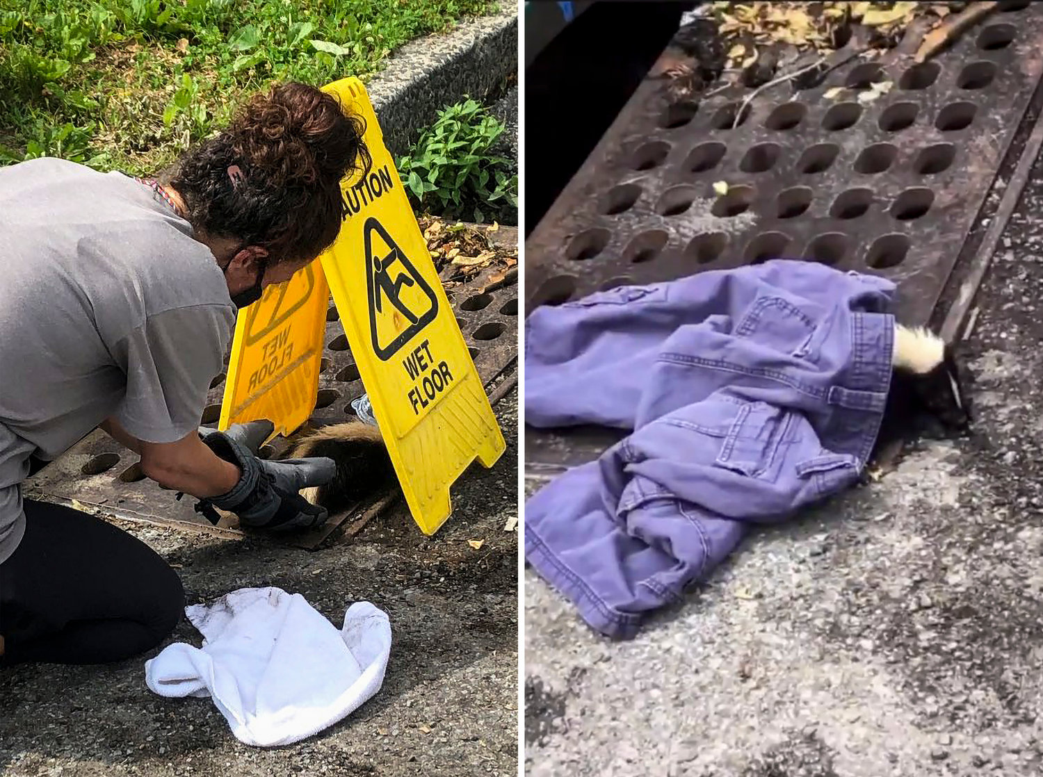 Sandy Sierra brought a caution sign to warn others to steer clear as she and other North Riverdale neighbors helped rescue a baby skunk from where he was trapped inside a sewer grate on Arlington Avenue. They used clothing to cover the skunk, keeping him warm.