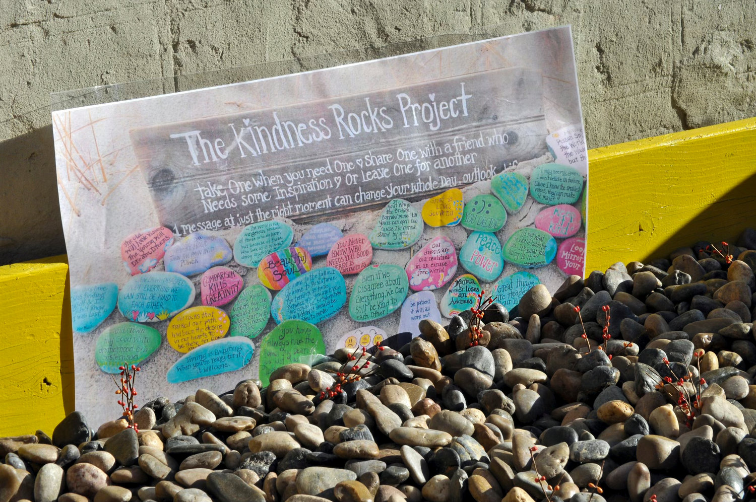 What’s rocks got to do with it? It’s actually about kindness, a value P.S. 207 is pushing hard to promote and impart on its students after spending years on a list of unsafe schools. The rock garden outside the Godwin Terrace school allows students to pick and paint kind messages for their peers.
