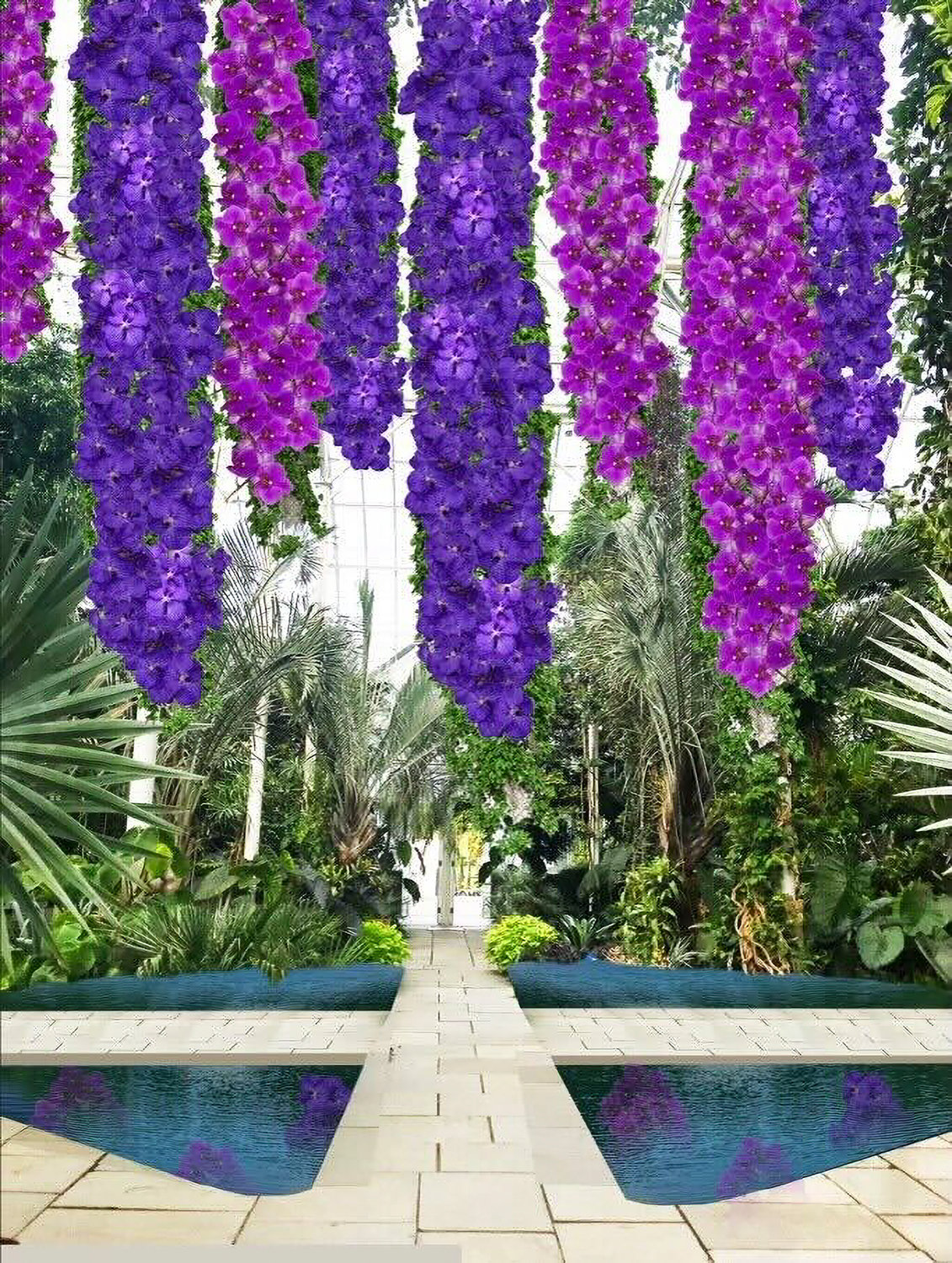 Jeff Leatham is taking another shot at designing an orchid show for the New York Botanical Garden after his previous exhibit was shut down by the coronavirus pandemic. He has promised to bring back plenty of color in this year’s display — which opens Feb. 26 — including some of his favorite purple and pink.