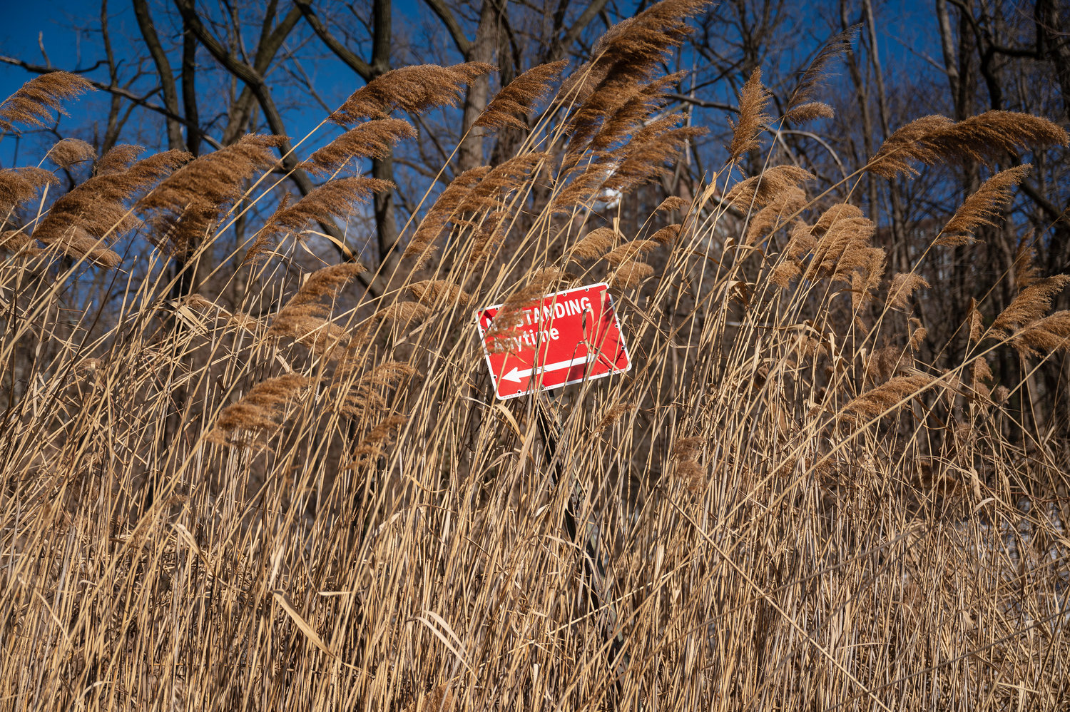 Street signs are buried in the plant life around Spuyten Duyvil Park between West 236th and West 237th streets. The mayor’s plan to remove them requires more workers — and with that, more city funding — which could be some of the biggest spending increases devoted to green space in decades.