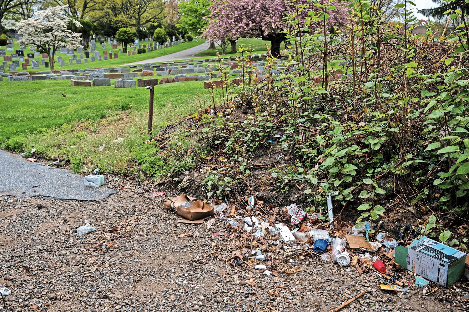Trash tossed into Woodlawn Cemetery from Webster Ave on Wednesday May 4, 2022.