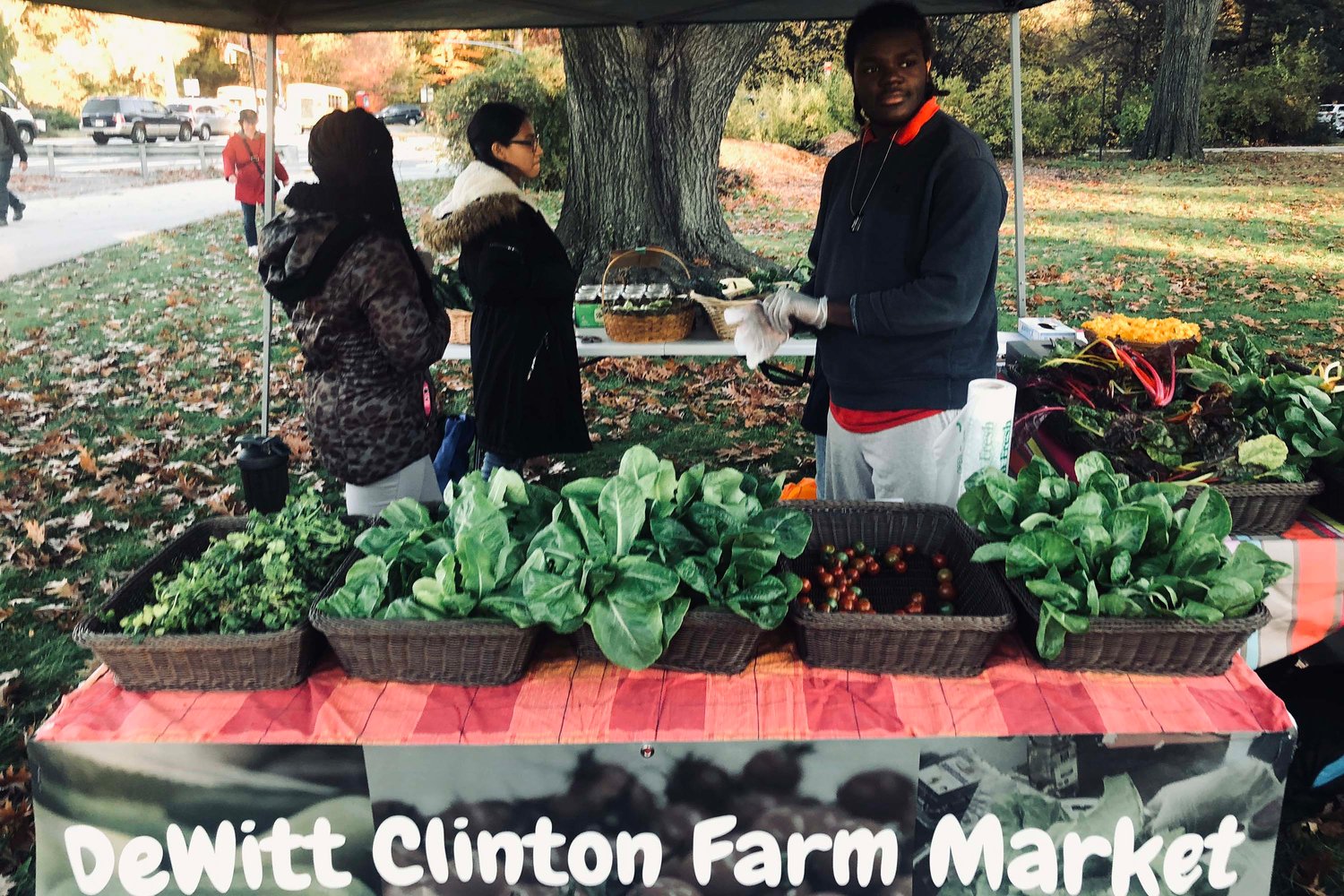 Teens for Food Justice has its own farm market on the school campus. The produce was grown using hydroponics in DeWitt Clinton High School.