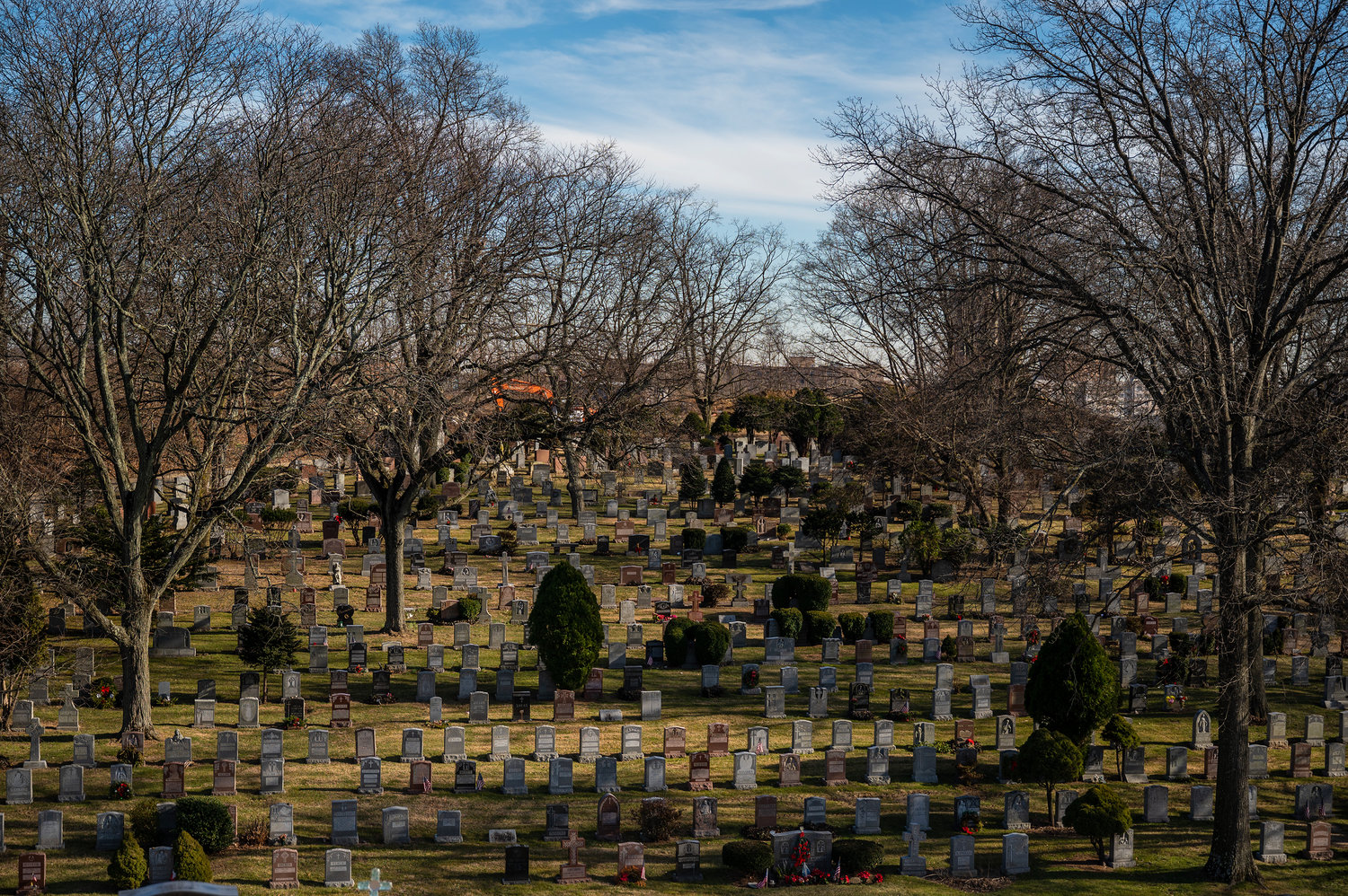 Woodlawn Cemetery on Monday, February 13, 2023.