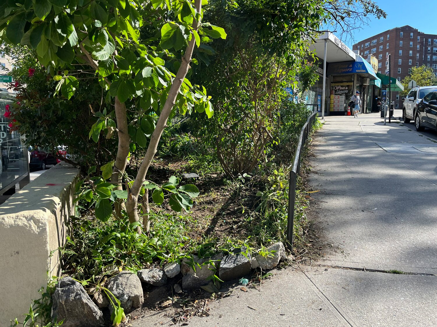 The Kappock Street garden has four sections to it. One of it is along the intersection at Knolls Crescent and Kappock Street, there’s “the stair street,” “the tree pits,” and “the triangle garden.”