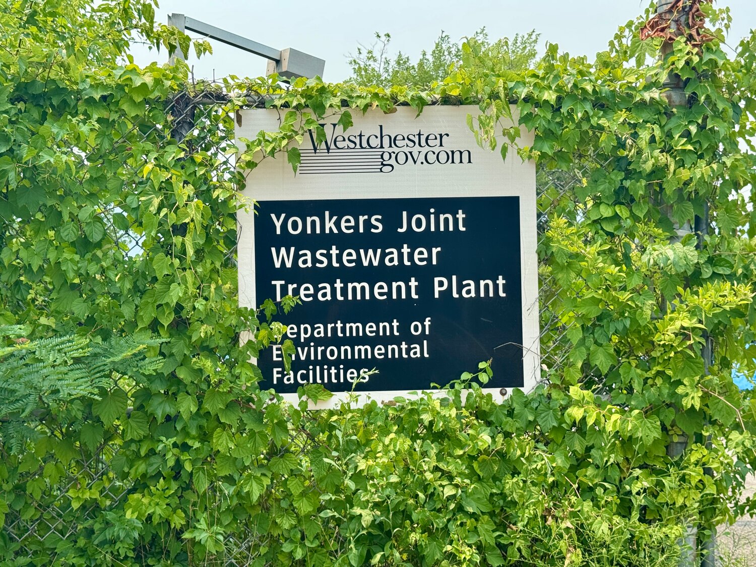 Bronx environmentalists warn New York's power grid faces growing climate pressure