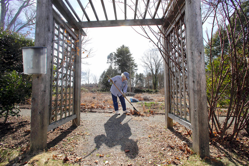 SPRING CLEANING &mdash; Anne Stoma uses a rake to clean up an herb garden at Elm Bank in Wellesley, Mass.