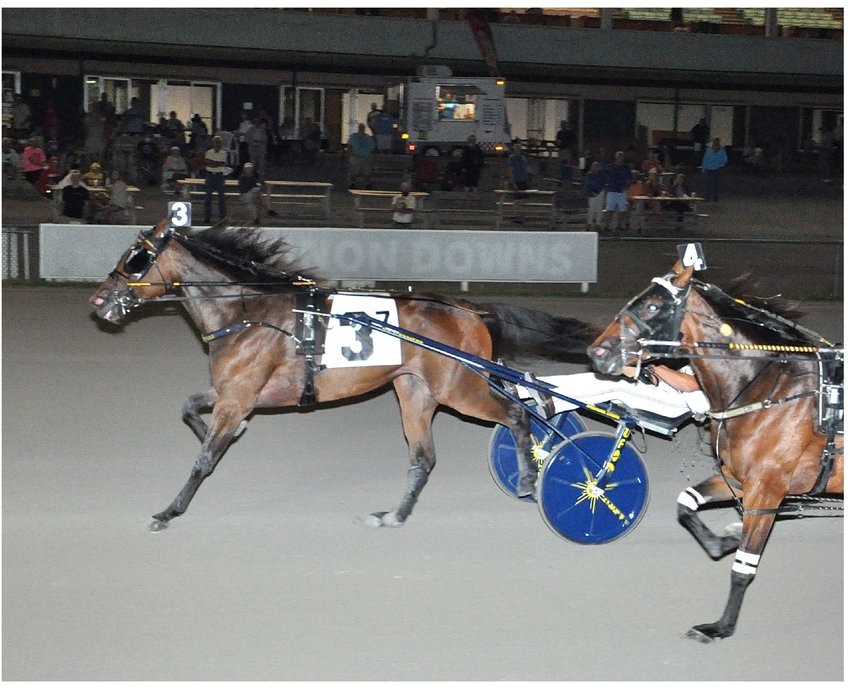 Joviality S (Brian Sears) will be a huge favorite in the $60,300 second division of the New York Sire Stakes (NYSS) for sophomore trotting fillies on Monday at Vernon Downs.