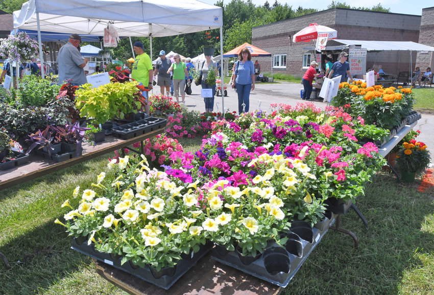 Flowers for sale at a previous Herb &amp; Flower Festival at Cornell Cooperative Extension.