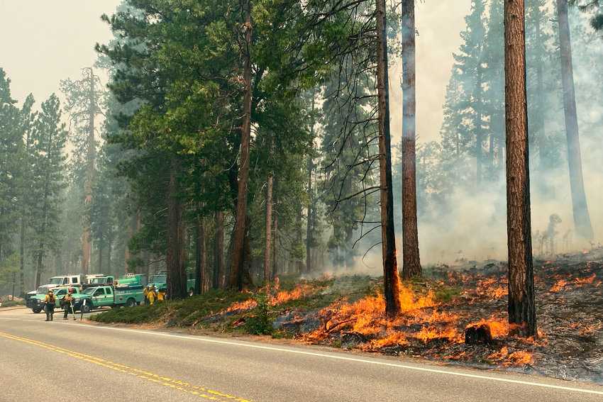 In this photo provided by the National Park Service, the Washburn Fire burns next to a roadway north of the Wawona Hotel in Yosemite National Park, Calif., Monday, July 11, 2022. A heat wave was developing in California on Monday but winds were light as firefighters battled a wildfire that poses a threat to a grove of giant sequoias and a small community in Yosemite National Park. (National Park Service via AP)