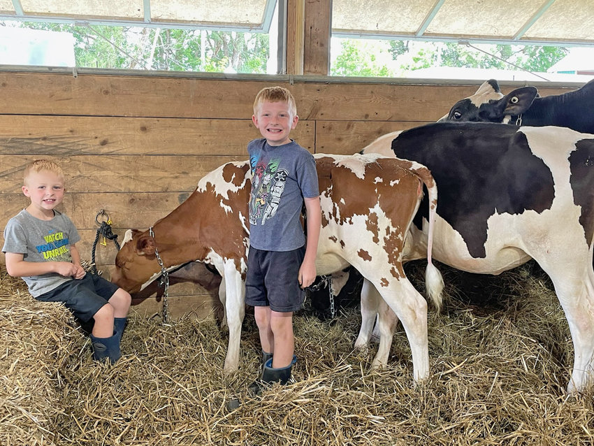 Landon Willson, 6, and brother Chase Willson, 9, show off a prized cow that is competing, and on show at the Boonville-Oneida County Fair.  Both represent By-Design Farm in Ava.  Their mother Brianne Willson said participating in the county fair each year allows the opportunity to pass down farming to the next generation.
