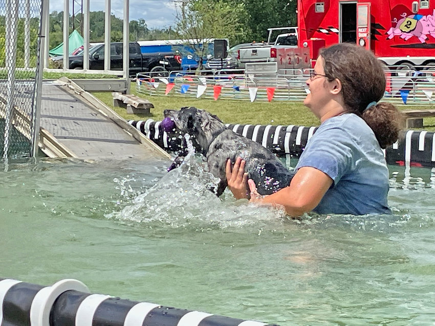 An employee with Central K-9 of Connecticut holds Bubbles after he made his way into the 35-foot pool that&rsquo;s part of the Dynamo Dogs attraction at Boonville-Oneida County Fair.
