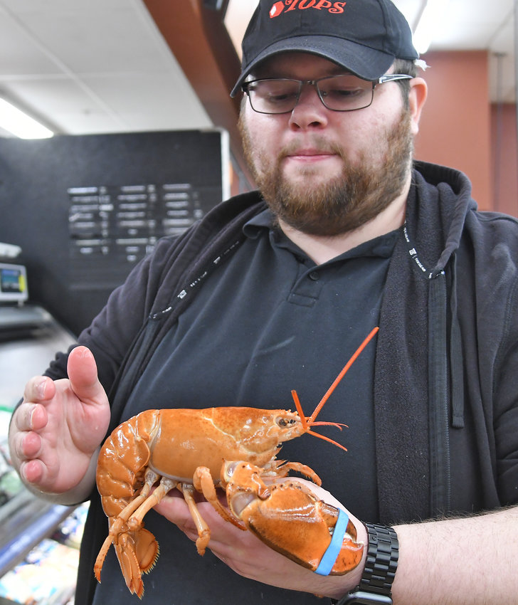 DEFINITELY NOT IN HOT WATER &mdash;&nbsp;Kaleb Collins, the seafood captain/manager at Tops Friendly Markets in Manlius, holds a very rare orange lobster. The lobster, whose coloring makes him roughly one in 30 million, will have a new home at the Fort Rickey Discovery Zoo, 5135 Rome-New London Road, later this week. Collins said he received a shipment of lobsters for the July 4 rush and when he opened up the container he thought they had sent him a &ldquo;cooked&rdquo; lobster &mdash; only to find out the lobster was alive and well. Collins and store officials instantly made the determination to save the lobster, who has been named &ldquo;Cheeto.&rdquo; Cheeto will reside in a new tank, and a place of honor, at Fort Rickey.