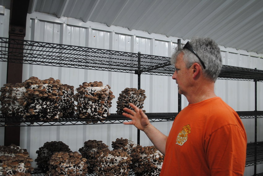KC Mangine in the Grow Room with shiitake mushrooms.