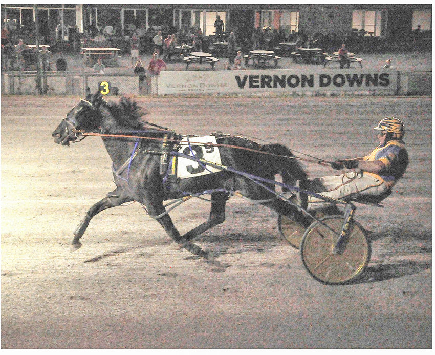 Party Boy won for the second time this season at Vernon Downs. The horse, guided by Michael Kimelman, has 17 career victories.