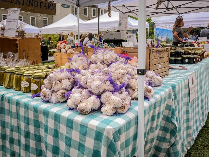 The 2022 Mohawk Valley Garlic and Herb Festival will take place Saturday, Sept. 10, at Canal Place in historic Little Falls.